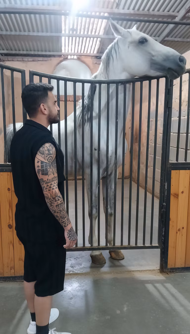 niya koloft – Transform this stable scene with the following changes: 1) Clean up the ground under the horse's feet completely - re…
