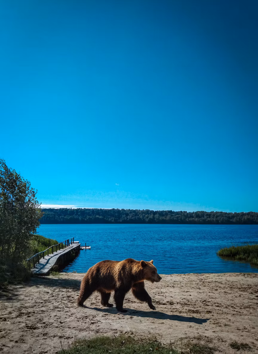 Евгения Чувичкина – Using the provided beach photograph, add a realistic brown bear running across the sandy beach toward the water. The …